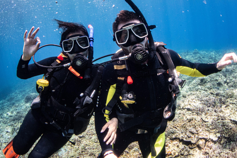 El Nido: Deep Blue Dive Seafari Experience