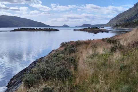 Escursione semi-privata al Parco Nazionale della Terra del Fuoco