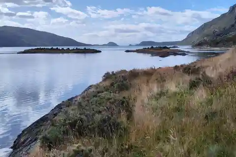 Escursione semi-privata al Parco Nazionale della Terra del Fuoco