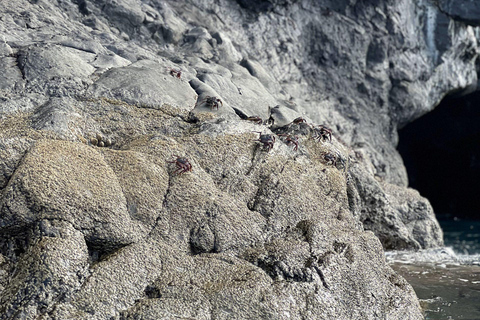 Funchal: Kajakfahren und Schnorcheln im Naturreservat Garajau