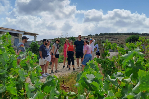 Cretan Wine and Spirits