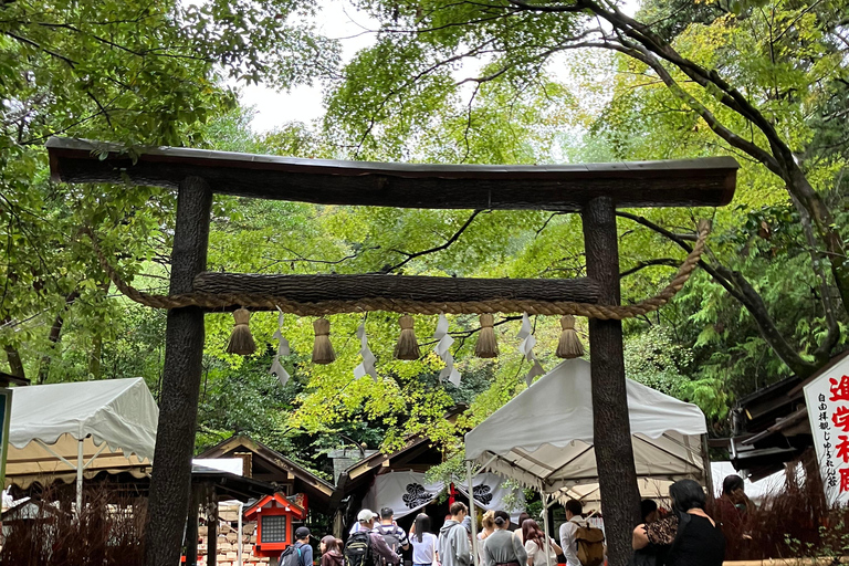 Kyoto: Essential Tour with Fushimi Inari & Bamboo Grove