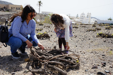 Santorini: Sightseeingtour in kleiner Gruppe mit einem ortskundigen Guide