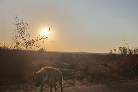 From Maputo: 2-Day Kruger Safari with Guided Bush Walk