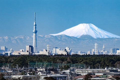 From Osaka: 5-Day Japan Highlights Tour to Tokyo