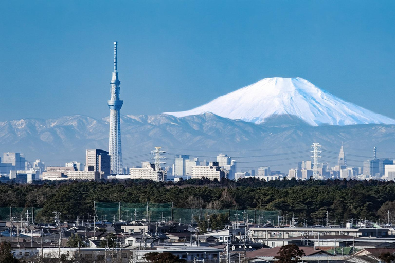 From Osaka: 5-Day Japan Highlights Tour to Tokyo