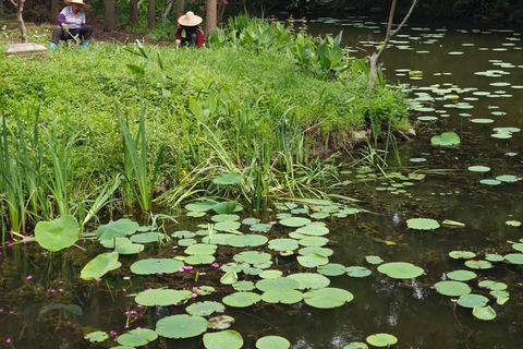 上海至崇明：生态·文化·体验之旅西班牙语、法语或俄语指南