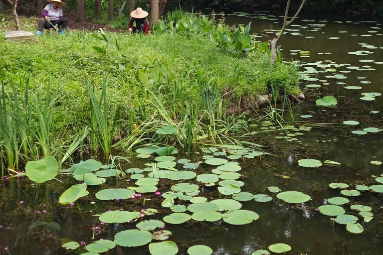 上海至崇明：生态·文化·体验之旅西班牙语、法语或俄语指南