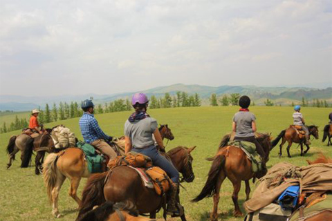 Excursión de 1 día Estatua de Chinggis khan, Parque nacional de Terelj