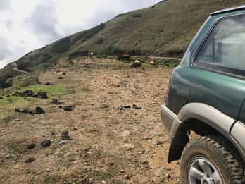 Private Full-Day Tour of North Coast and Laurissilva Forest