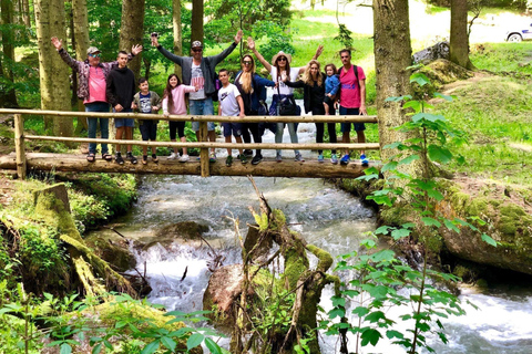 Bucareste: Santuário dos Ursos Pardos e Passeio de Quadriciclo