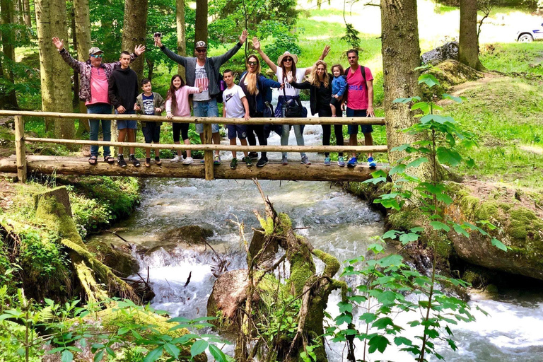 Bucareste: Santuário dos Ursos Pardos e Passeio de Quadriciclo