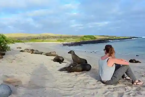 Tour di un giorno intero a Leon Dormido e all'Isola di Lobos
