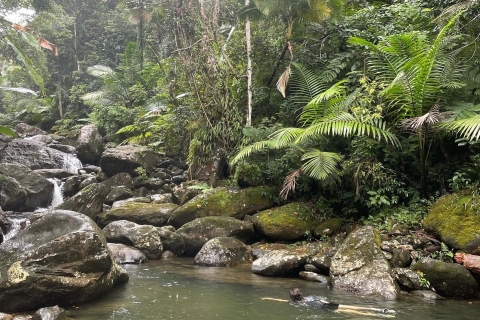 El Yunque Hidden Waterfall-wandeling met vervoer