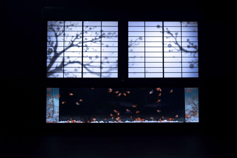 Tokyo: Art Aquarium Museum GINZA Entry Ticket