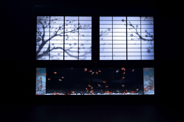 Tokyo: Art Aquarium Museum GINZA Entry Ticket