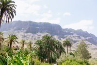 Gran Canaria, Camel Ride Safari w/ Optional Food & Transport - Housity