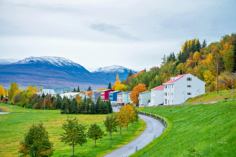 Iceland’s Iconic Landmarks: A 5-Day Ring Road AdventureWithout Extra Options