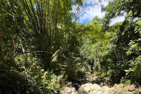 Caguas : Aventure dans les cascades et les grottes