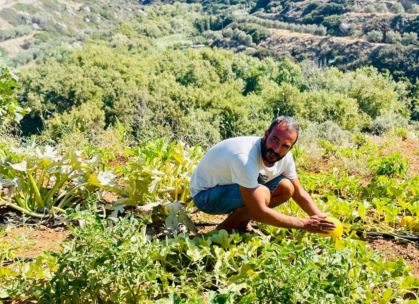 Melanes: Naxos Perivoli Farm & madlavningskursus med træbål