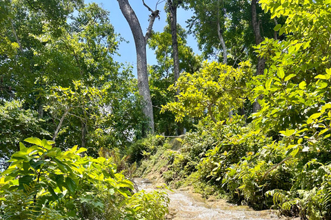 Chiang Mai Sticky Waterfall & Dantewada with Hotel Transfer