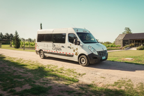 Da Colonia: &quot;De Copas Tour&quot;-Bodega El Legado e Pueblo Tannat a Carmelo