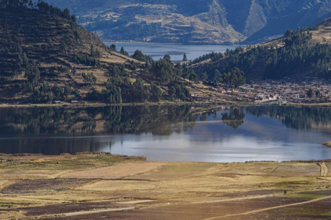 Queswachaka : Excursion aux quatre lagunes andines 1 jour