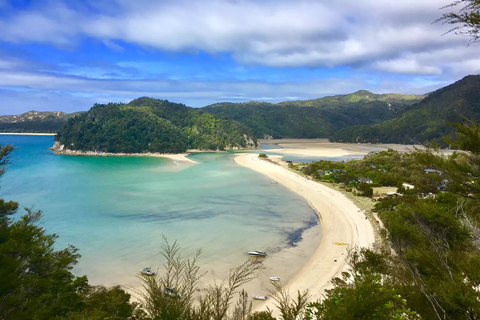 From Auckland: Kiwi Wilderness Experience Guided Tour