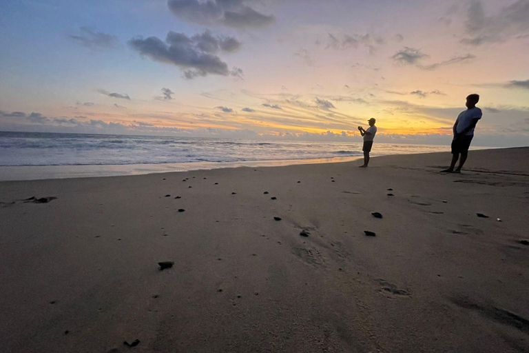 Z Huatulco: doświadczenie wypuszczania małych żółwi morskichZ Huatulco: wypuszczenie małych żółwi morskich