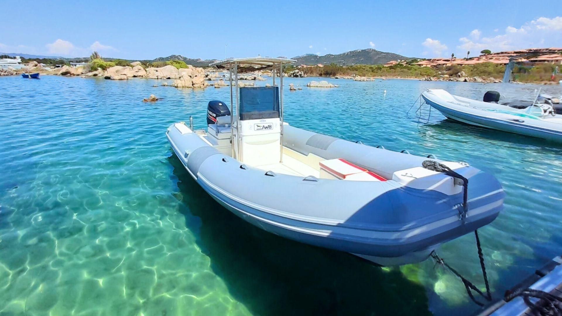 Von Porto Rotondo: Private Tour mit dem Schlauchboot