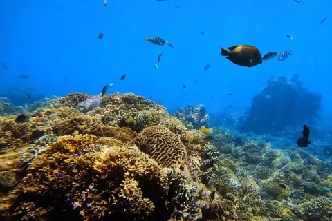Bali: Privates Schnorcheln mit Blue Lagoon Snorkeling