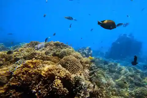 Bali: Private Snorkeling With Blue Lagoon Snorkeling
