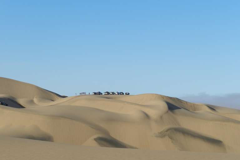 Small Group Sandwich Harbour 4x4 tour where dunes meet ocean