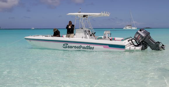 Nassau: Intimate Speedboat Tour with Swimming Pigs & Lunch