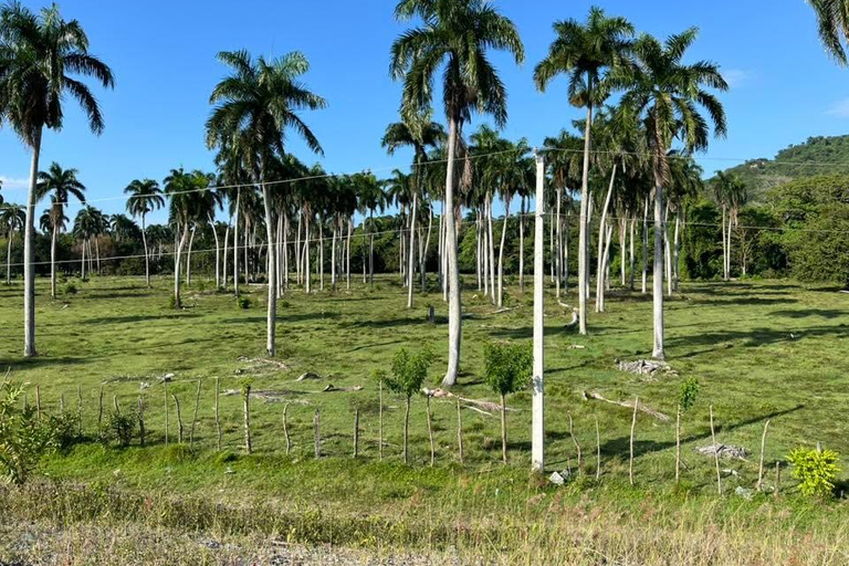 Puerto Plata: Countryside Tour with Butterfly Farm Visit