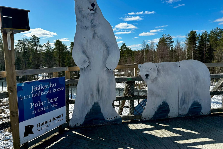 Lapland Day Tour: From Best Attractions to Midnight Sun