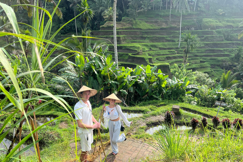 Ubud: Private Half-Day Tour Rice Terrace, Temple & Waterfall Private Half-Day Tour (With Entrance Tickets)