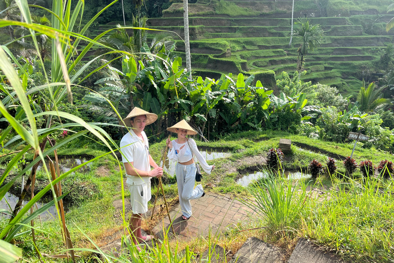 Ubud: Private Half-Day Tour Rice Terrace, Temple & Waterfall Private Half-Day Tour (With Entrance Tickets)
