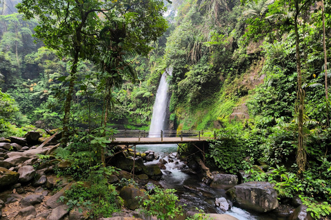 From Jakarta: Private Tour Mount Pangrango Suspension Bridge Regular Tour Include Ticket 5 Person Max