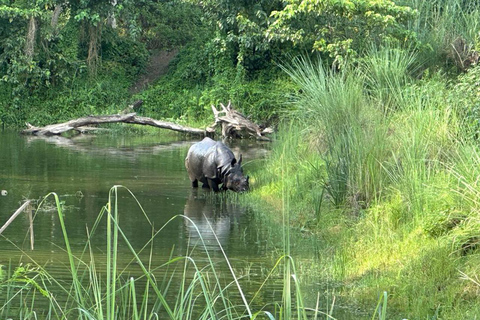 From Kathmandu to Chitwan: Jungle Safari + Meals &amp; Transport