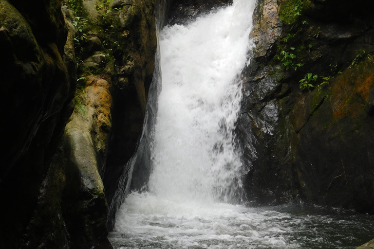 Santa Marta: San Isidro de La Sierra Waterfall Day Tour