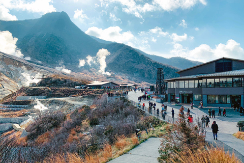 Viaje de 3 días a Tokio, el Monte Fuji y Hakone