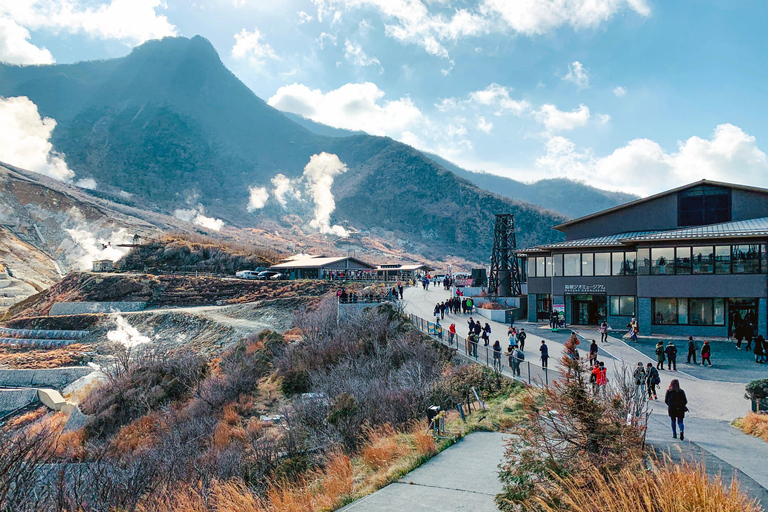 Viaje de 3 días a Tokio, el Monte Fuji y Hakone