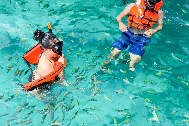 Phuket: Premium Day Trip to Phi Phi-Maya-Bamboo Island Phuket: Premium Phi Phi-Bamboo Islands Speed Catamaran Trip