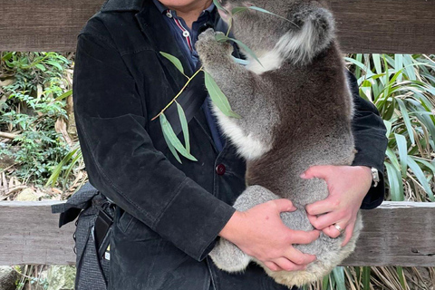 Von Adelaide aus: Kuscheln mit einem Koala und historische Hahndorf-Tour