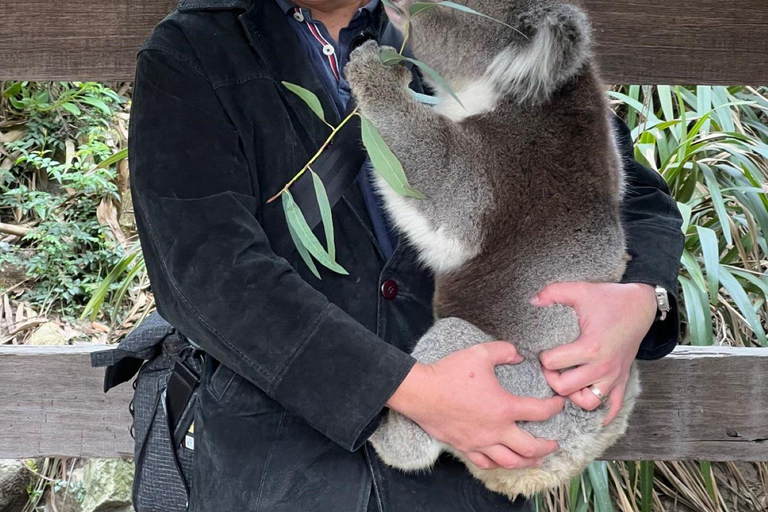 Von Adelaide aus: Kuscheln mit einem Koala und historische Hahndorf-Tour