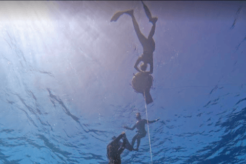 من مدينة أواكساكا: تجربة الغوص الحر في بويرتو إسكونديدو