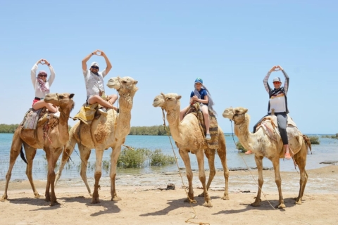 Sharm El Sheikh: Quadami ATV wzdłuż morza i gór