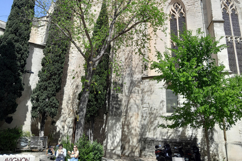 Avignon: walking tour of the most see-sights and hidden gems