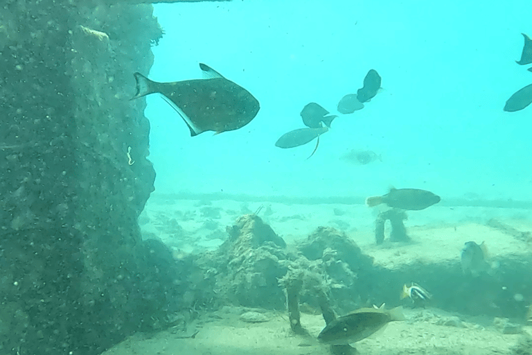 Sanur : Snorkelen bij de kust van SanurSanur : Snorkelen